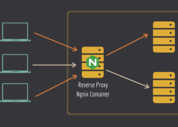 How to setup nginx reverse proxy for aspnet core apps with and without  Docker compose